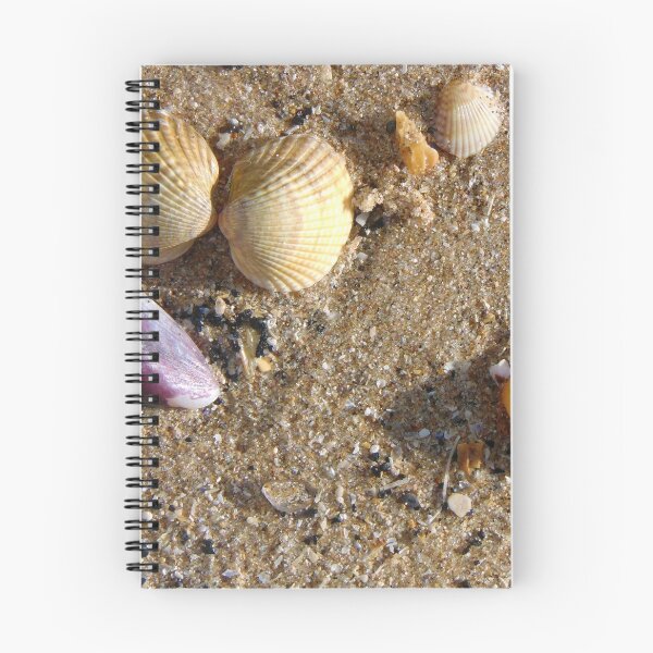 Item preview, shells designed and sold by KathleenDawson.