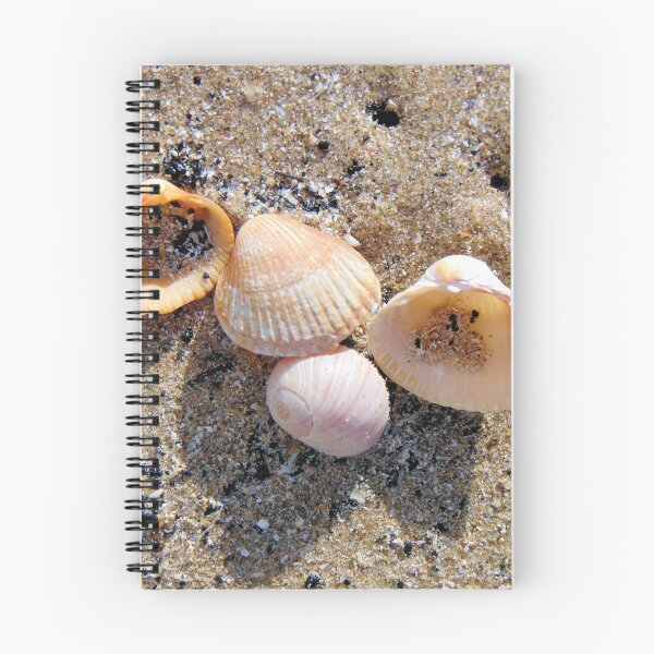 Item preview, shells designed and sold by KathleenDawson.