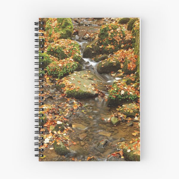 Item preview, WATER IN AUTUMN LEAVES designed and sold by andrewsaxton.