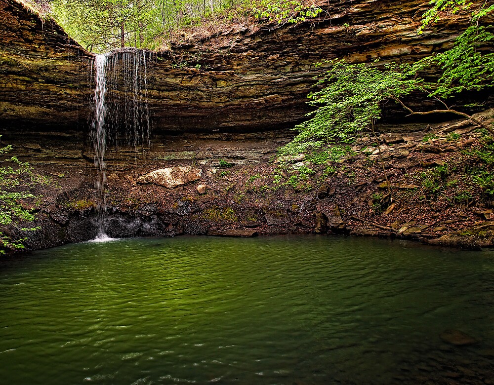 "Rattlesnake Falls Ozark National Forest Arkansas" by Scott Ward