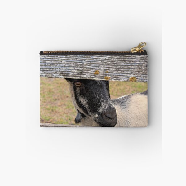 Item preview, The Apple Beggar designed and sold by Martha Sherman.