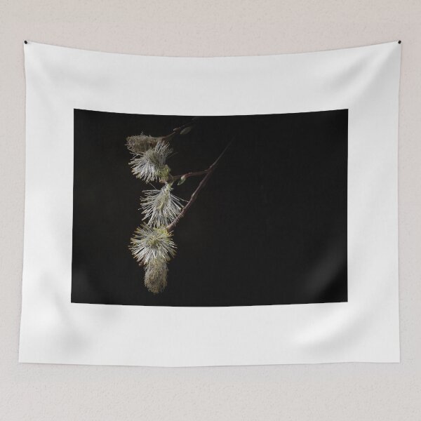Item preview, PussyWillow ... Spring is here !!! designed and sold by AnnDixon.