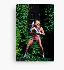Commandor StarPower Canvas Print
