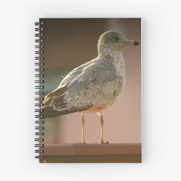 Item preview,  Beach Bird designed and sold by KensLensDesigns.