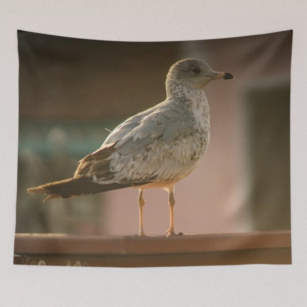 Item preview,  Beach Bird designed and sold by KensLensDesigns.