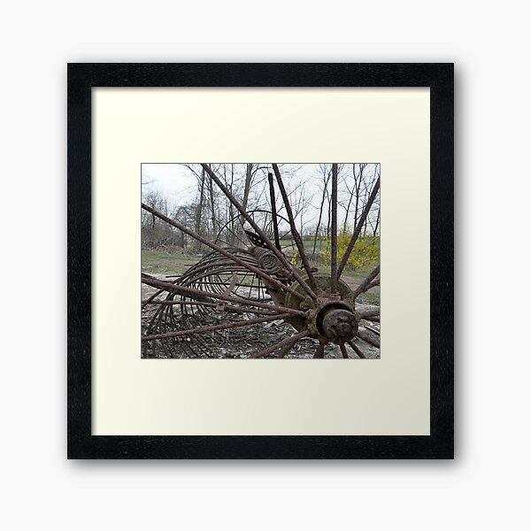 Rusty...with a touch of yellow Framed Art Print