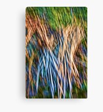 Brush Abstract Canvas Print