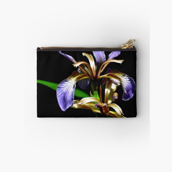 Item preview, Iris foetidissima , Stinking iris designed and sold by lynn carter.