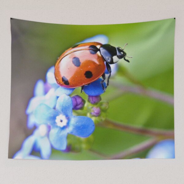 Item preview, A balancing act designed and sold by missmoneypenny.