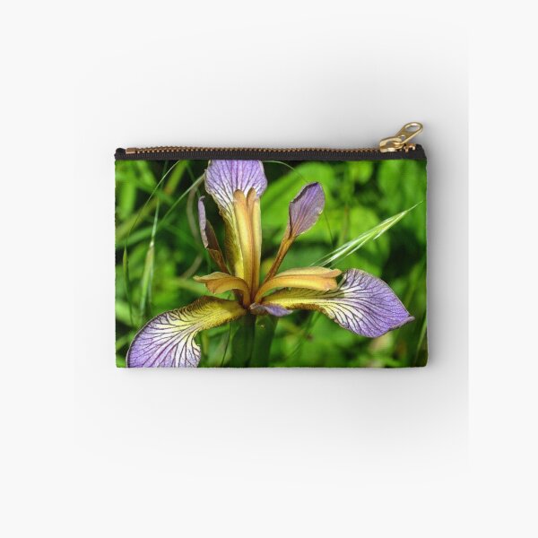 Item preview, Iris foetidissima , Stinking iris designed and sold by lynn carter.