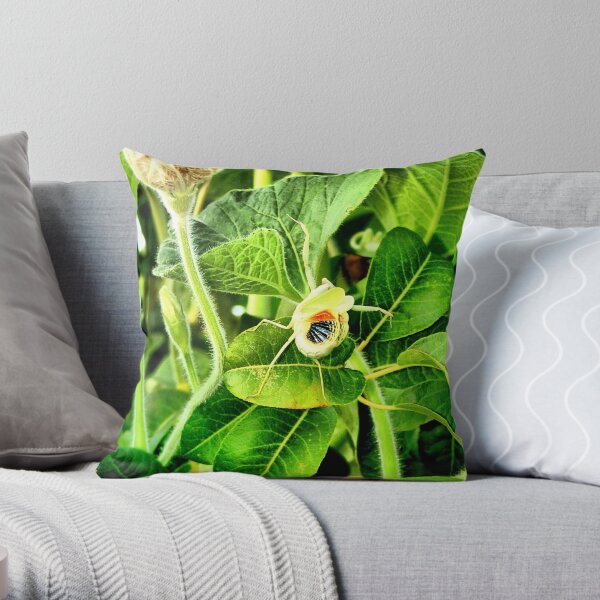 deathtrap Throw Pillow