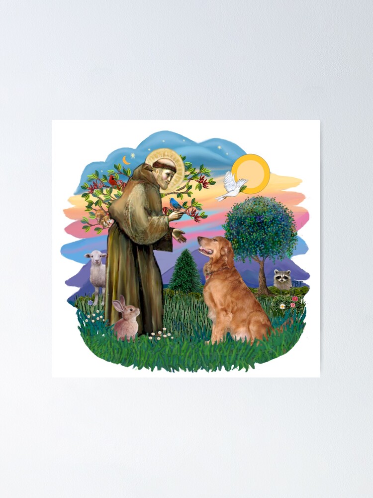 Of Assisi Animal St Francis Animal Rescue Animal Adoption Assisi