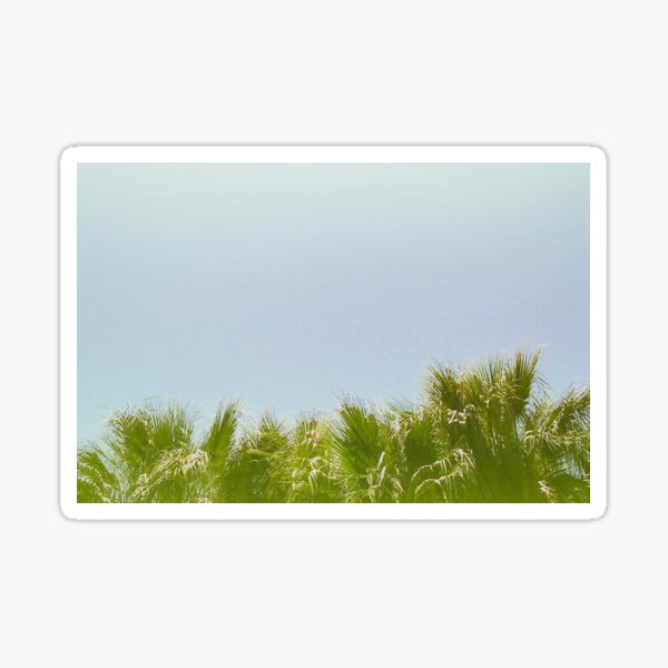 Wavy Palms Sticker