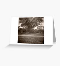 Tree #1 Greeting Card