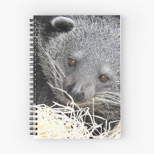 Item preview, Binturong  designed and sold by Martina Nicolls.