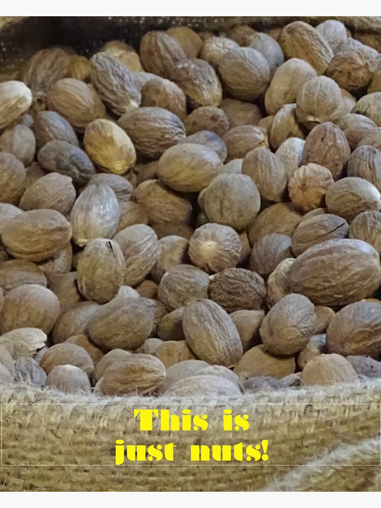 "Just Nuts Nutmeg in Raw Form" Sticker by KnutsonKr8tions Redbubble