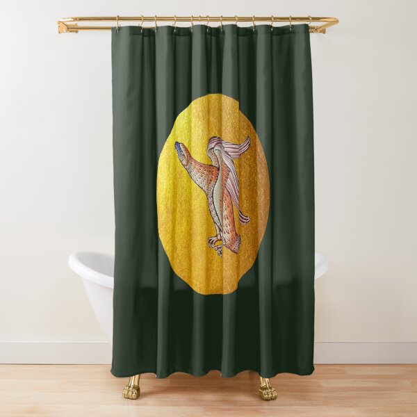 Eagle and sun Shower Curtain