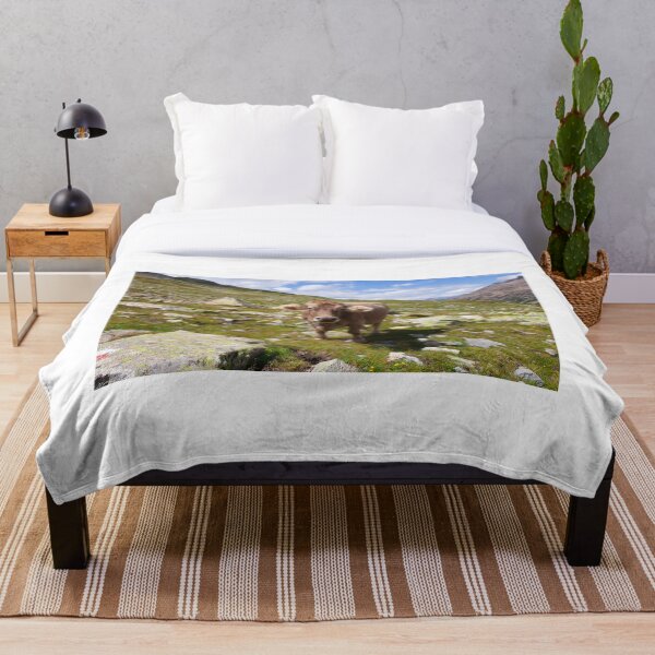 Item preview, Brown Swiss Cow designed and sold by scottimage.