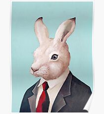 weißer Hase Poster