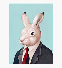 weißer Hase Fotodruck