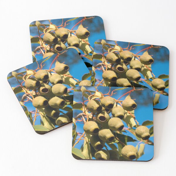 Item preview, Gum Nuts designed and sold by scottimage.