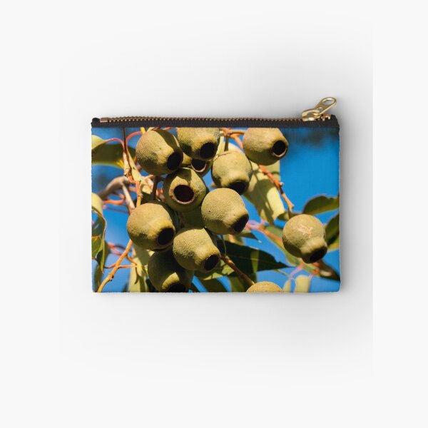 Item preview, Gum Nuts designed and sold by scottimage.