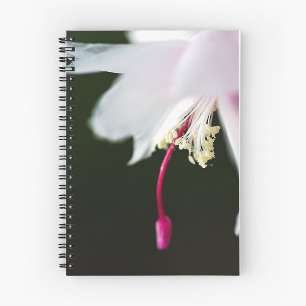 Item preview, Dancing Delicate Zygocactus designed and sold by Joy Watson - Natural Light Photography .