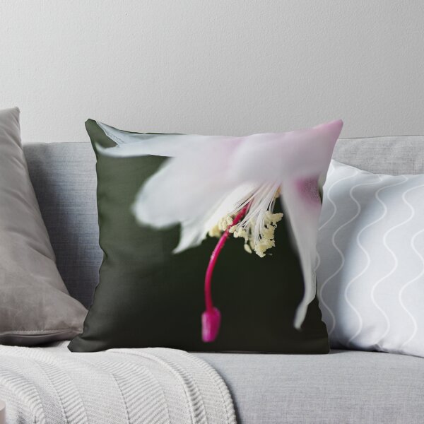 Item preview, Dancing Delicate Zygocactus designed and sold by Joy Watson - Natural Light Photography .