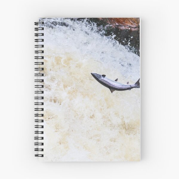 Item preview, Copy of Leaping wild atlantic salmon designed and sold by chanonry.