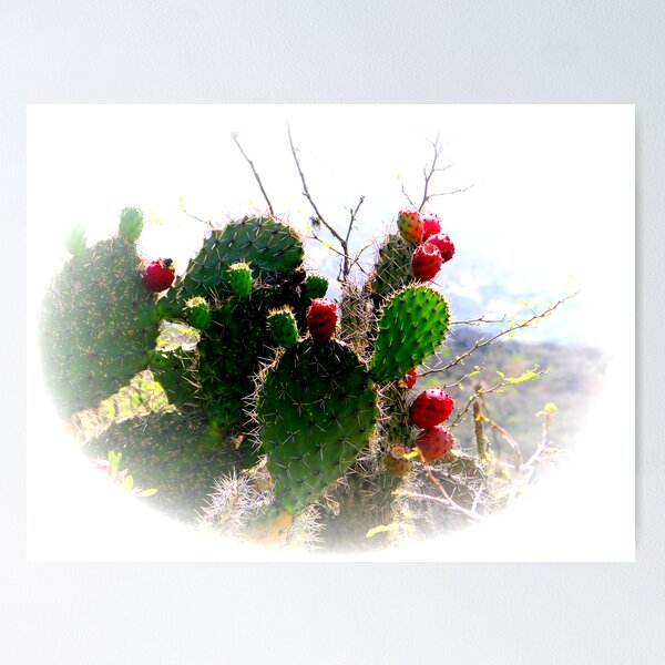 Item preview, Ecuador Badlands Cacti designed and sold by ABPhotoArt.