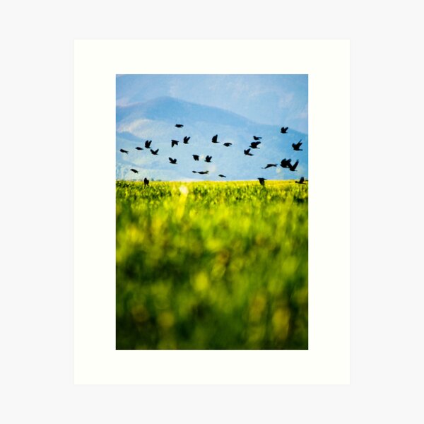 OnePhotoPerDay Series: 119 by C. Art Print