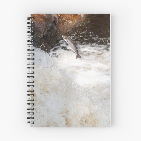 Item preview, Copy of Leaping wild atlantic salmon designed and sold by chanonry.