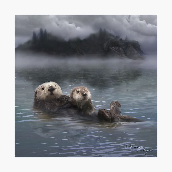Spirit Otter Photographic Print