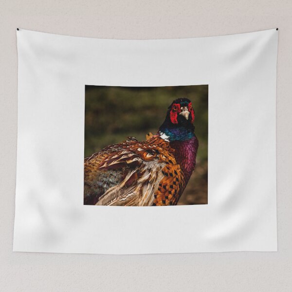 Item preview, Have a Pheasant Day  designed and sold by lyndsaymphoto.