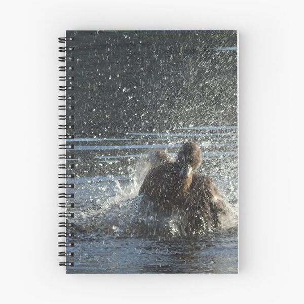 Item preview, Duck splashing designed and sold by Craig Egan.