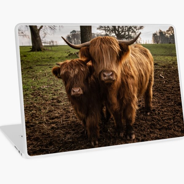 Highland Cow Laptop Skin, Laptop Cover, Laptop Skins, Removable Laptop –  James & Inks