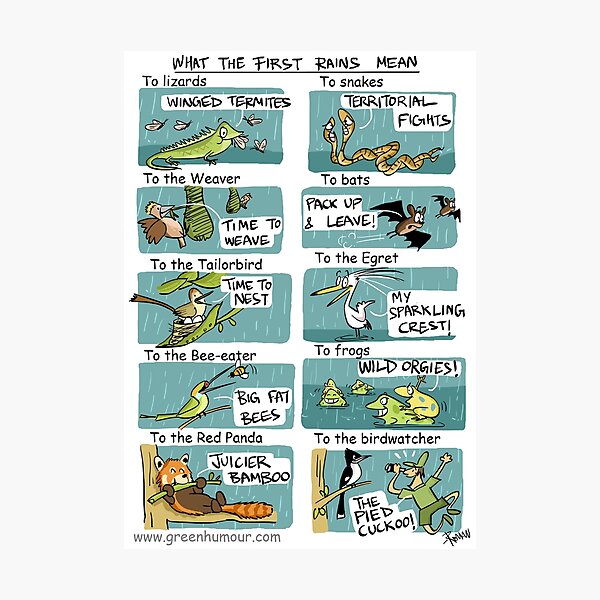 Item preview, Monsoon designed and sold by Green Humour.