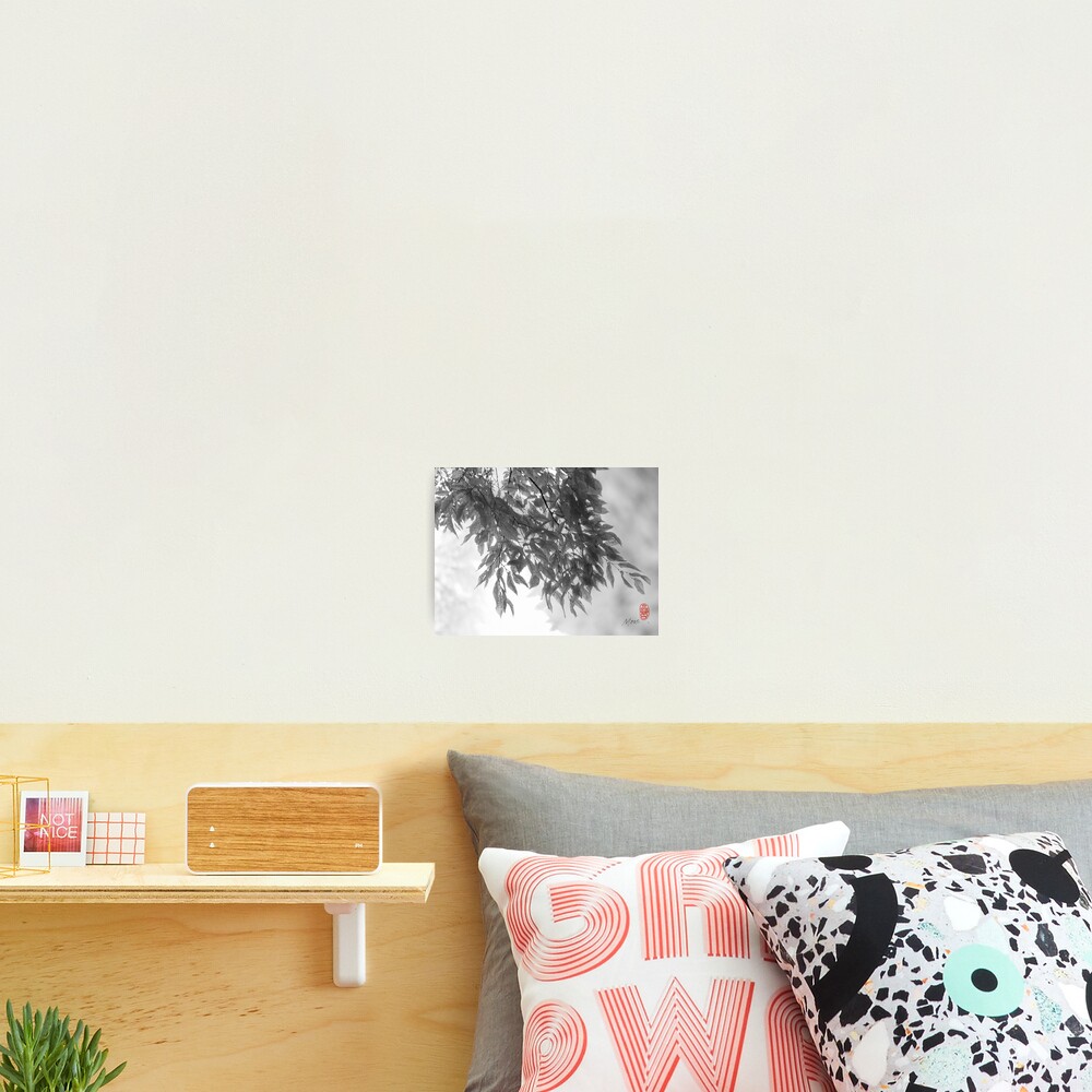 Light as Air Photographic Print