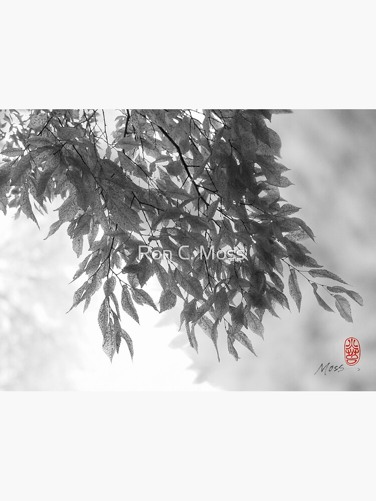 Light as Air by ronmoss