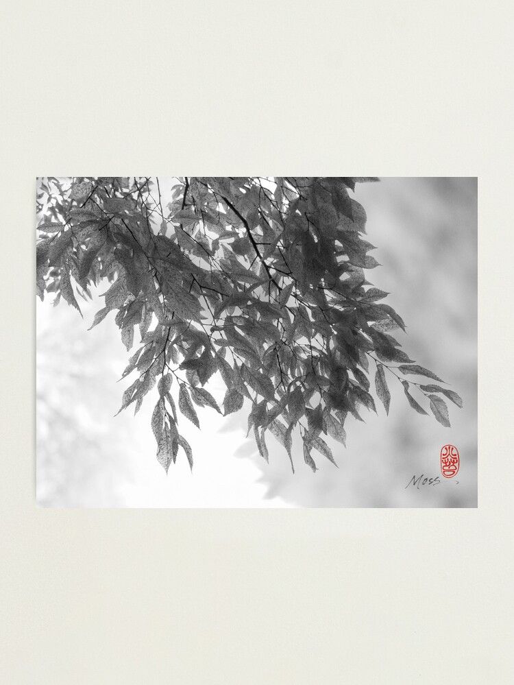 Thumbnail 2 of 3, Photographic Print, Light as Air designed and sold by Ron C. Moss.