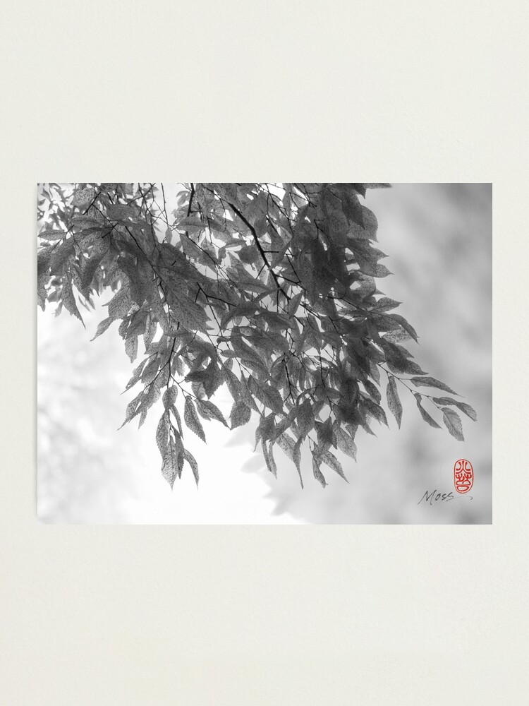 Alternate view of Light as Air Photographic Print