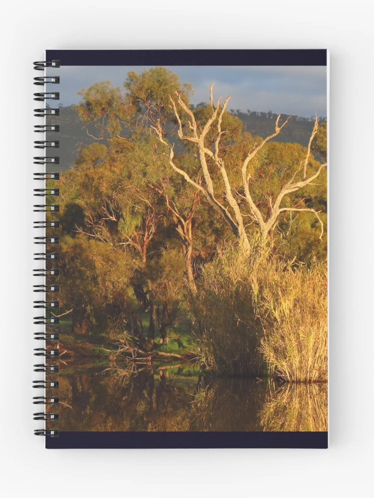 Thumbnail 1 of 3, Journal, Flinders Ranges Winter Reflection designed and sold by outbackjack.