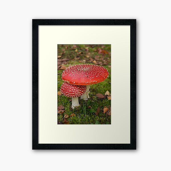 Item preview, Mushrooms designed and sold by Lauren Haasnoot.