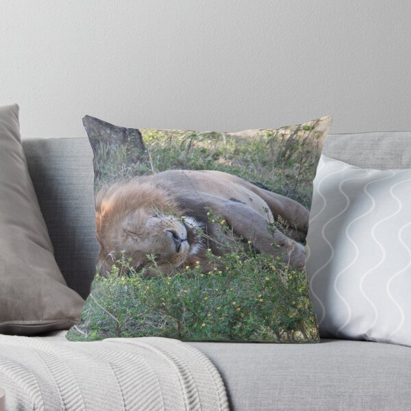Item preview, Dozing King designed and sold by phil decocco.