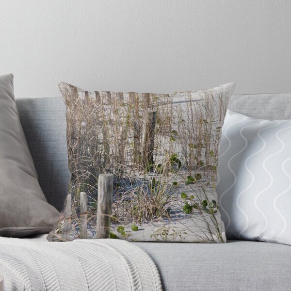 Item preview, Beach Fences designed and sold by phil decocco.