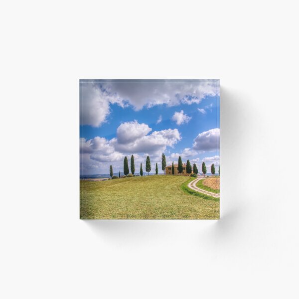 Item preview, Cypress trees and meadow designed and sold by DesignAstur.