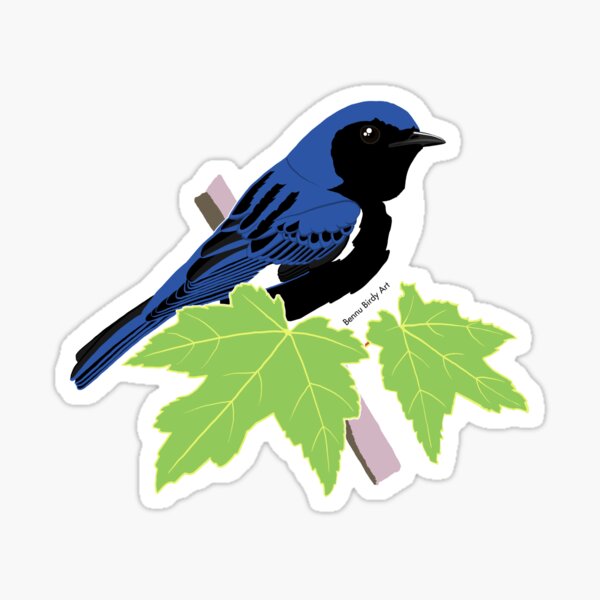 Aperçu de l'œuvre Paruline bleue à gorge noire créée et vendue par BennuBirdy.