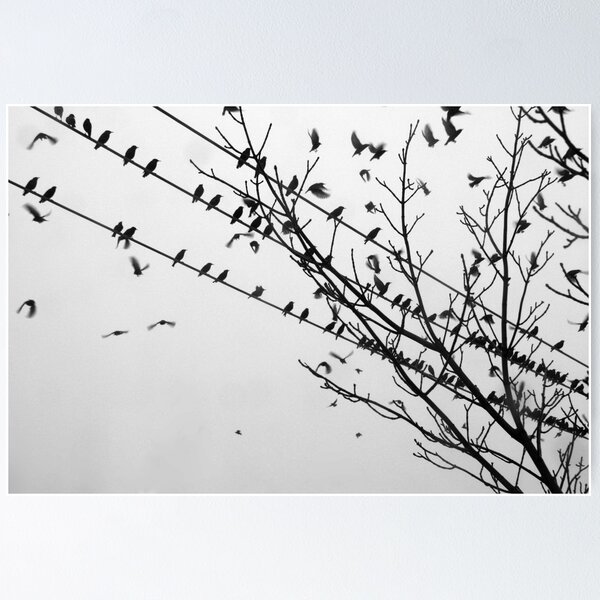 Item preview, A flurry of birds designed and sold by Stephanie  Williams.