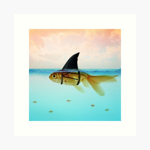 Item preview, Goldfish with a Shark Fin designed and sold by Vin  Zzep.