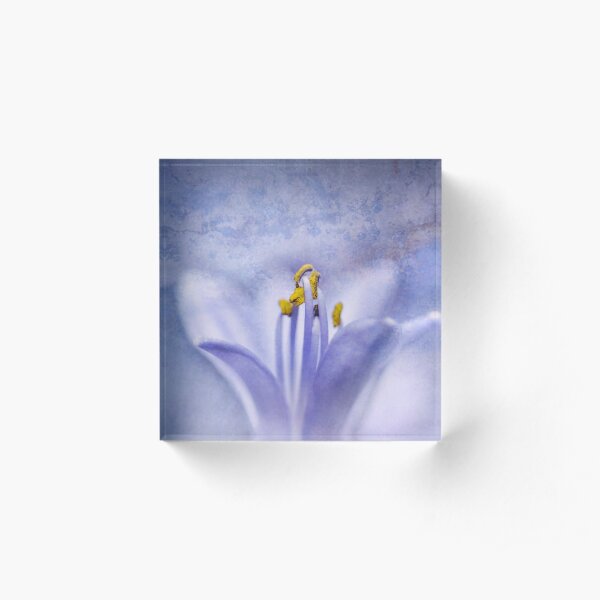 The Blues Acrylic Block